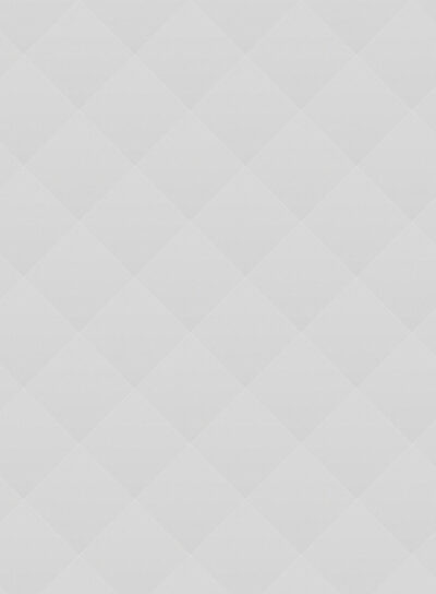 03 Petrochemical Industry